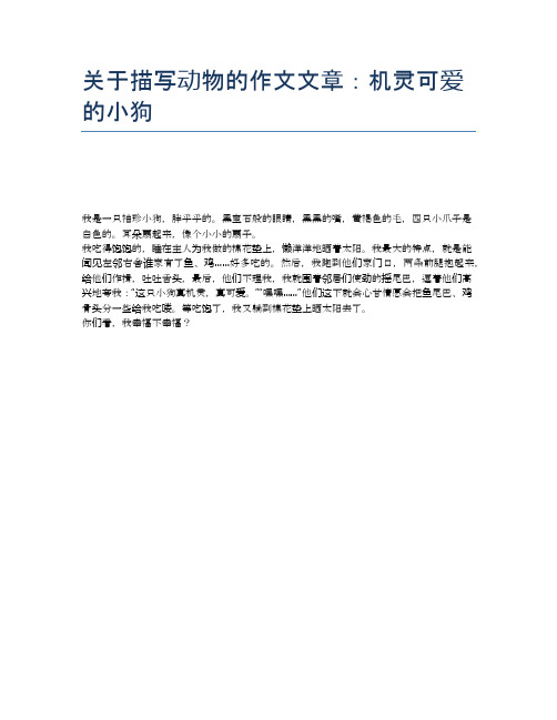 关于描写动物的作文文章：机灵可爱的小狗