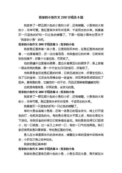我家的小鱼作文200字精选6篇