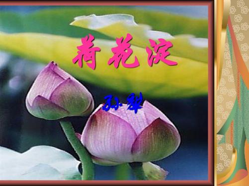 荷花淀_改