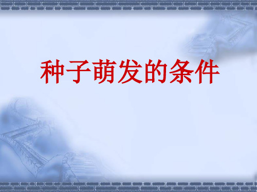 四年级下册科学课件1.2 种子萌发｜ 鄂教版