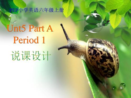 人教版六年级上册英语Unit 5 What does she do说课