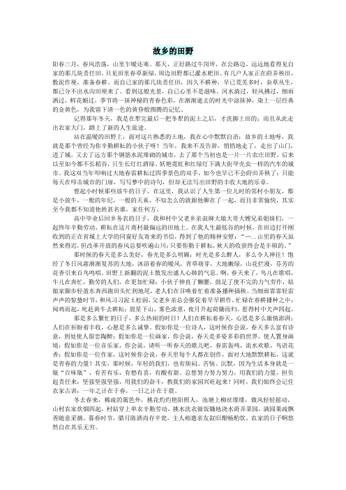 高中语文情感美文故乡的田野