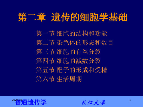 第二章遗传的细胞学基础