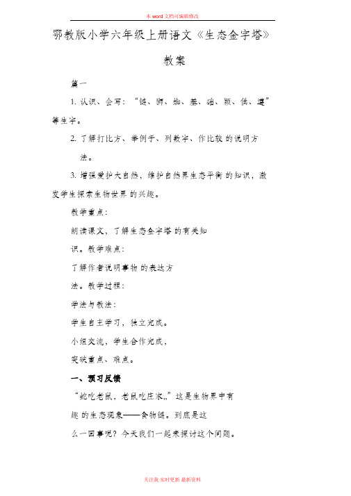 精编鄂教版小学六年级上册语文《生态金字塔》教案