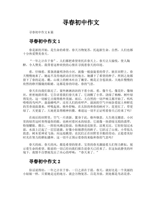 寻春初中作文