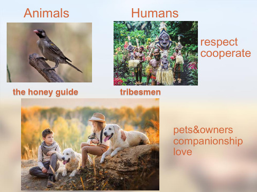 Unit 4 Jane Goodall