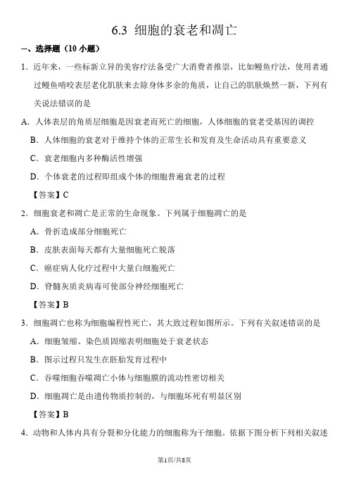 高一生物(人教版)必修一课时同步练习：6.3 细胞的衰老和凋亡