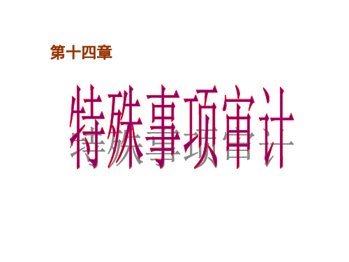 第十四章特殊事项审计-PPT精品文档78页