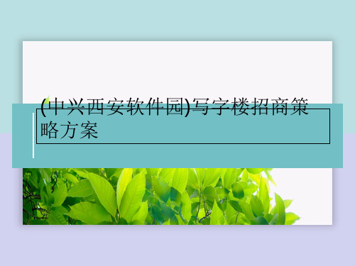 (中兴西安软件园)写字楼招商策略方案