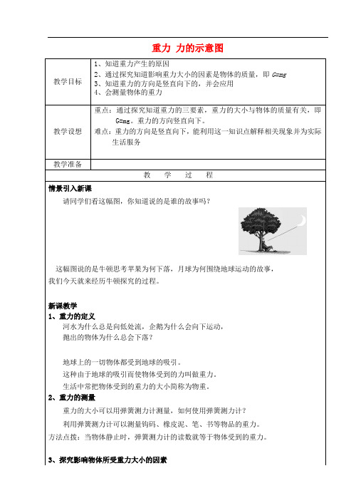 八年级物理下册 8.2 重力 力的示意图 省优获奖教案 (新版)苏科版