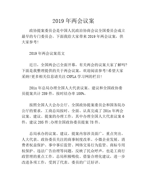 2019年两会议案