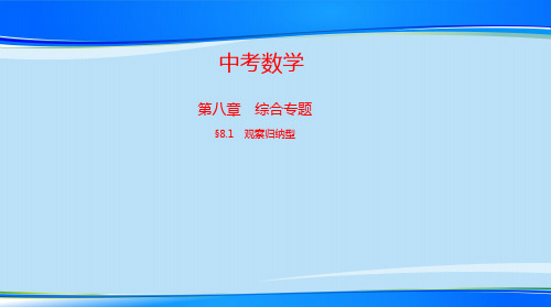 2021中考数学全国版第一轮总复习§8.1 观察归纳型最新课件