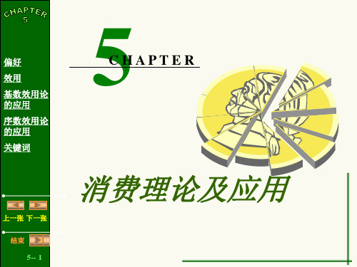 第五章 消费理论