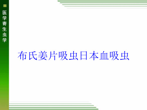 布氏姜片吸虫日本血吸虫培训课件