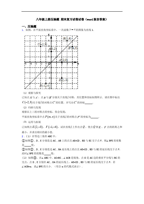 八年级上册压轴题 期末复习试卷试卷(word版含答案)