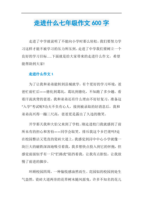 走进什么七年级作文600字