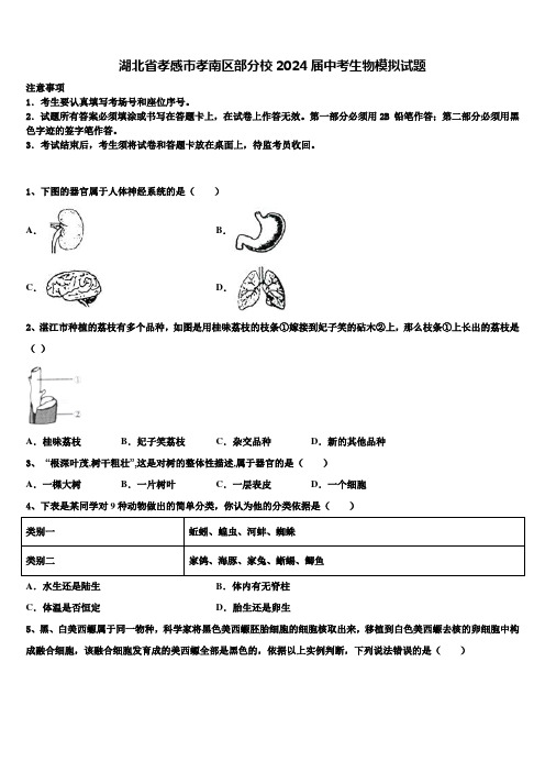 湖北省孝感市孝南区部分校2024届中考生物模拟试题含解析