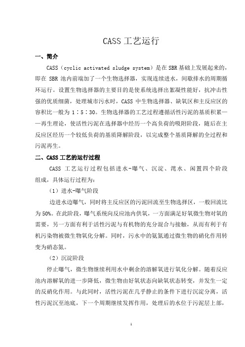 CASS工艺运行模式说明