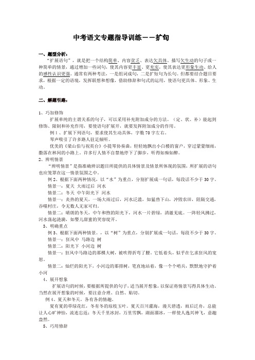 中考语文专题指导训练--扩句