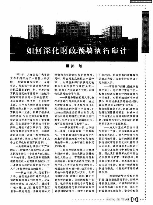 如何深化财政预算执行审计