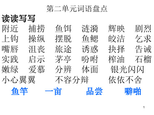 词语盘点二.PPT