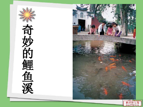 《奇妙的鲤鱼溪》课件