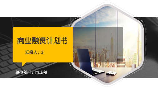 商业融资计划书模板精品示范31张)