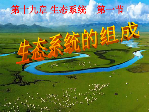 苏教版生物八上7.19.1 生态系统的组成 讲课课件(共18张PPT)
