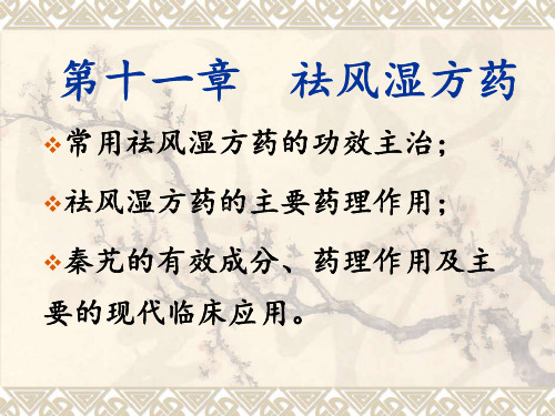 第十一章祛风湿方药