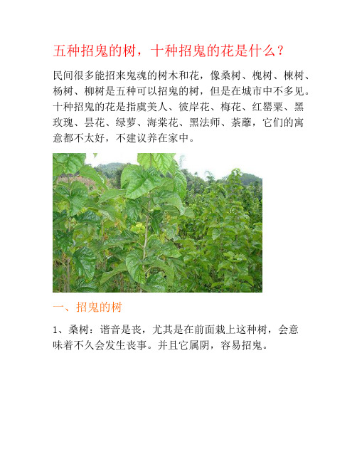 五种招鬼的树,十种招鬼的花是什么？