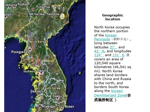 North Korea issues_ppt