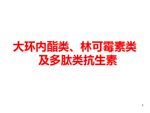 大环内酯类