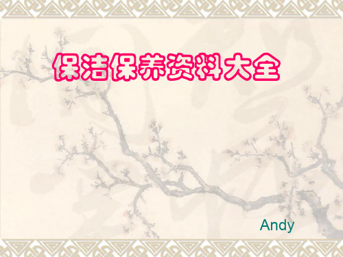 清洁保养资料大全(ppt 33页)