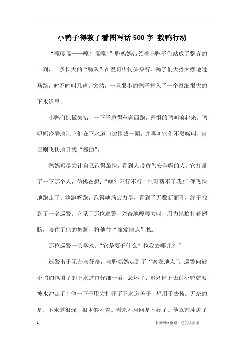 小鸭子得救了看图写话500字 救鸭行动