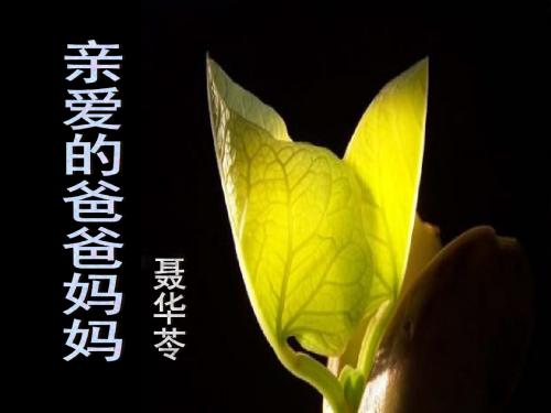 《亲爱的爸爸妈妈》PPT课件5