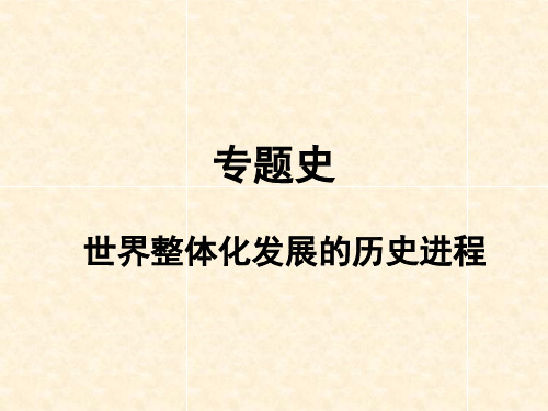 专题史 世界整体化发展的历史进程