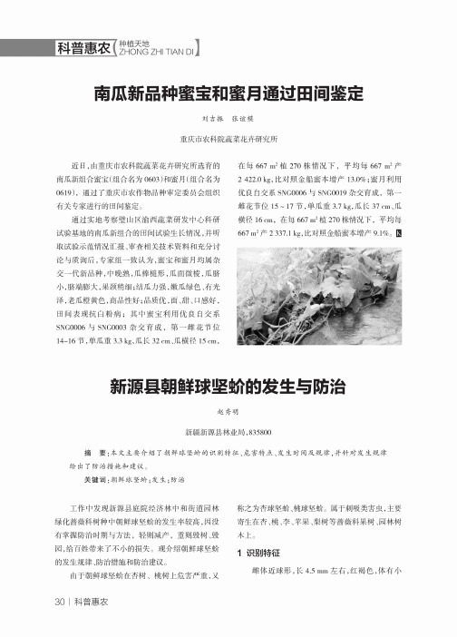 新源县朝鲜球坚蚧的发生与防治