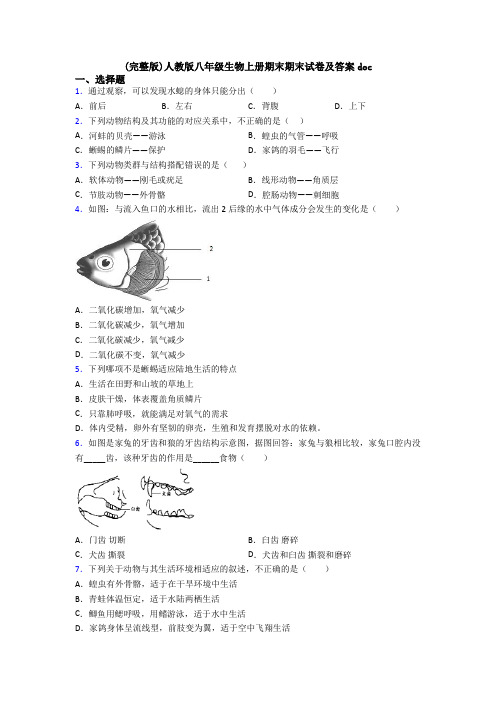 (完整版)人教版八年级生物上册期末期末试卷及答案doc