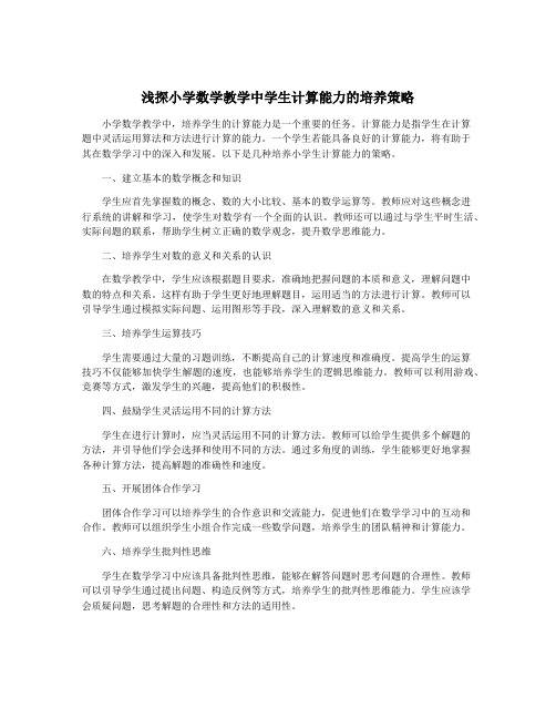 浅探小学数学教学中学生计算能力的培养策略