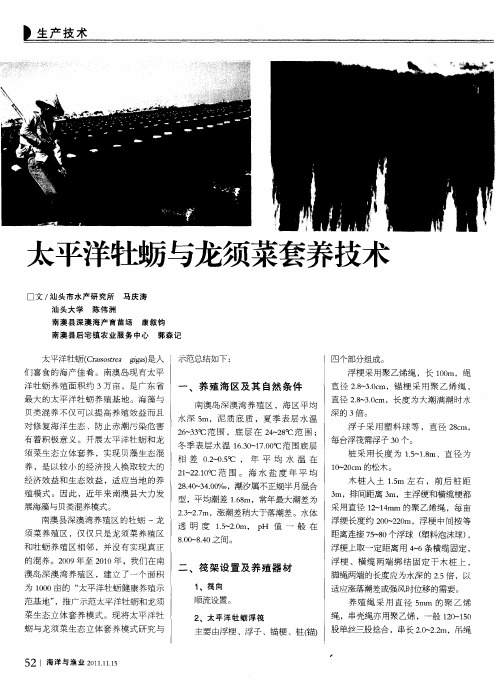 太平洋牡蛎与龙须菜套养技术