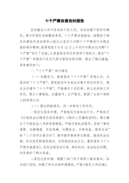 十个严禁自查自纠报告