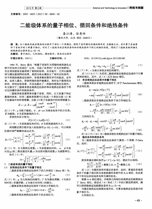 二能级体系的量子相位、循回条件和绝热条件