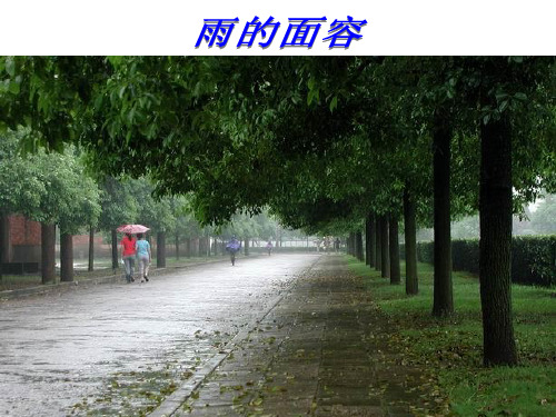 作文《雨的诉说》教案PPT课件