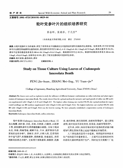 轮叶党参叶片的组织培养研究