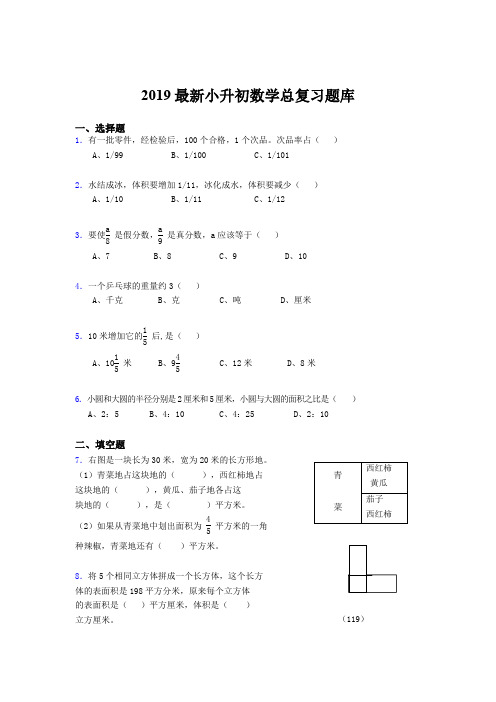 2019最新小升初数学总复习题库djp