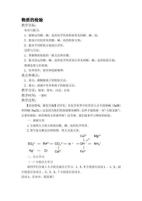 人教版(五四学制)九年级化学复习 物质的检验  教案 