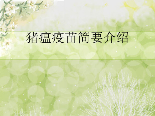猪瘟简要疫苗介绍