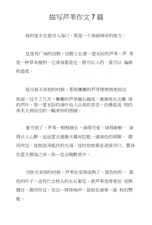 描写芦苇作文7篇.docx