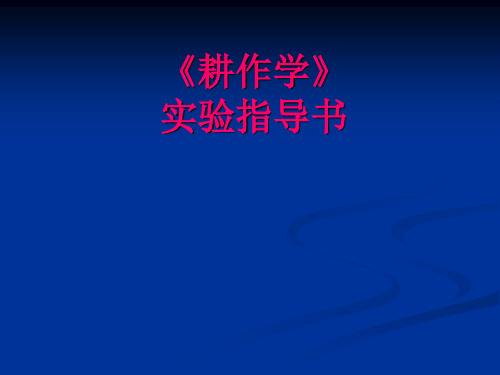 耕作学实验(实验一)