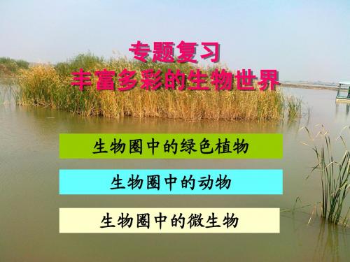 专题：丰富多彩的生物世界
